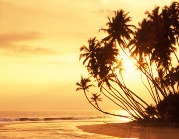 Sri Lanka Tour 8N 9D Premium